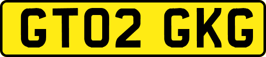 GT02GKG