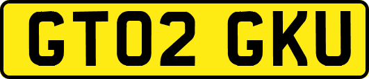 GT02GKU