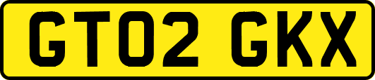 GT02GKX