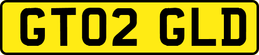 GT02GLD