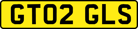 GT02GLS