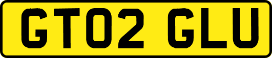 GT02GLU