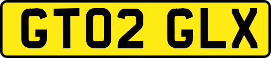 GT02GLX