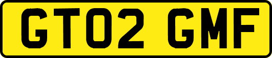GT02GMF