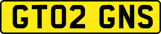 GT02GNS