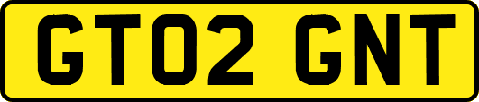 GT02GNT