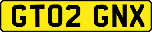 GT02GNX