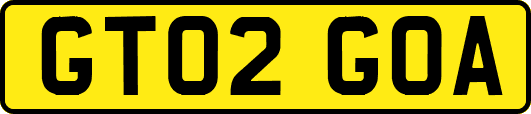 GT02GOA