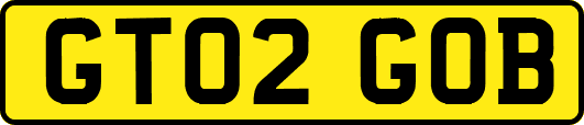 GT02GOB