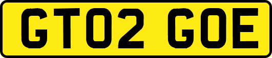 GT02GOE