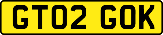 GT02GOK