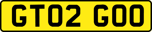 GT02GOO