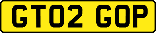 GT02GOP