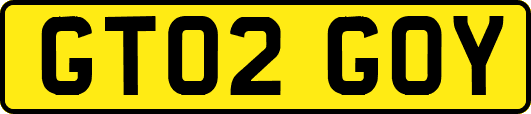 GT02GOY