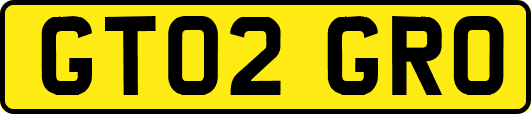 GT02GRO