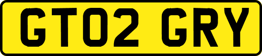 GT02GRY