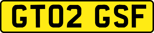 GT02GSF