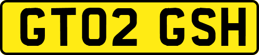 GT02GSH