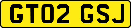 GT02GSJ