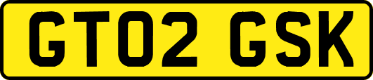 GT02GSK