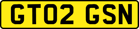 GT02GSN