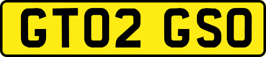 GT02GSO