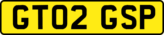 GT02GSP