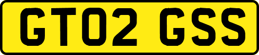 GT02GSS