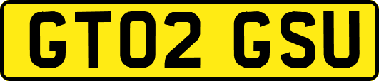GT02GSU