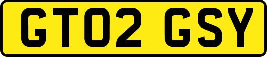 GT02GSY
