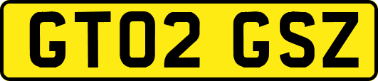 GT02GSZ