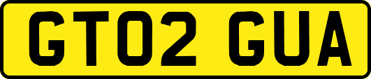 GT02GUA