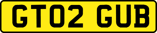 GT02GUB