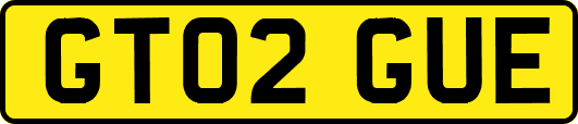 GT02GUE