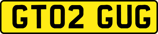 GT02GUG