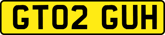 GT02GUH