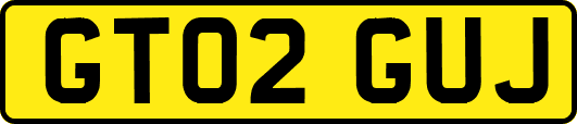 GT02GUJ