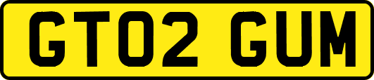 GT02GUM