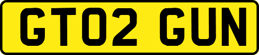 GT02GUN