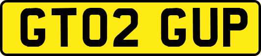 GT02GUP