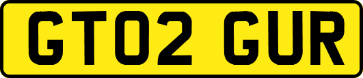 GT02GUR