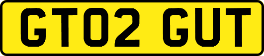 GT02GUT