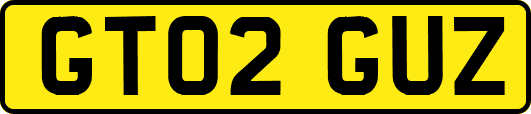 GT02GUZ