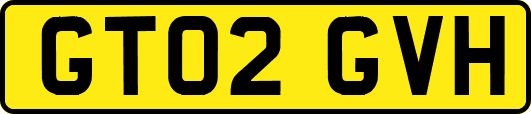 GT02GVH