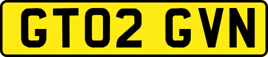GT02GVN
