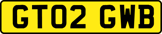 GT02GWB