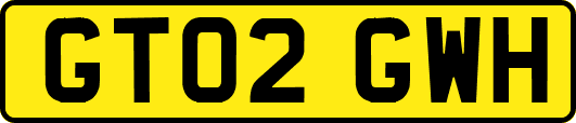 GT02GWH
