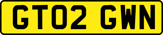 GT02GWN