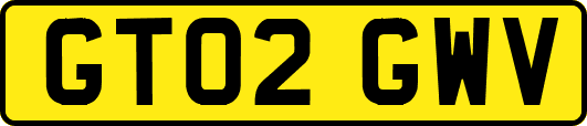 GT02GWV