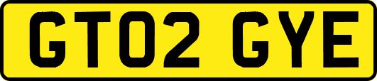 GT02GYE